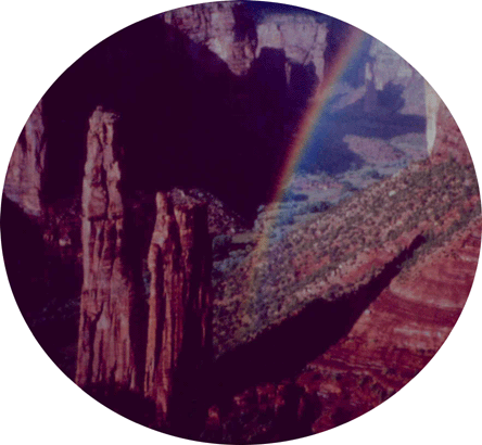 Spider Rock 330